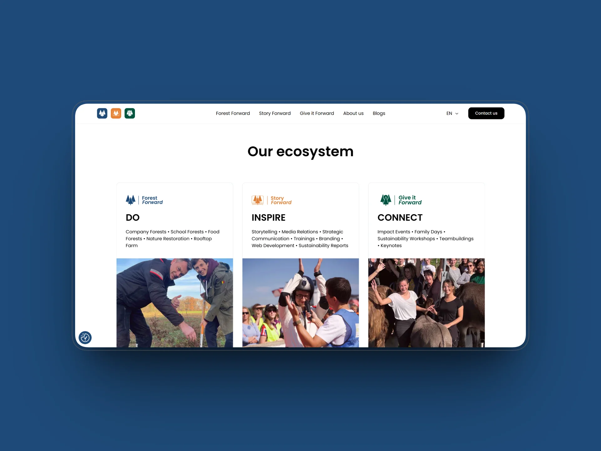 WeForward ecosystem